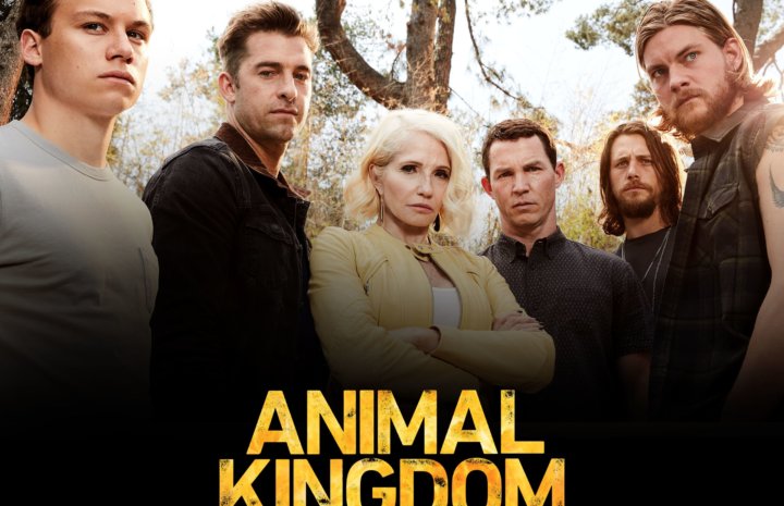 animal kingdom poster